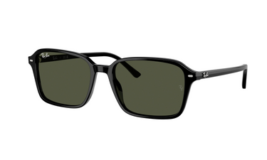 Gafas de sol Ray-Ban Rb 2231